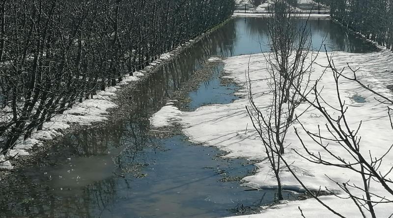 eğirdir,egirdir haber,akın gazetesi
