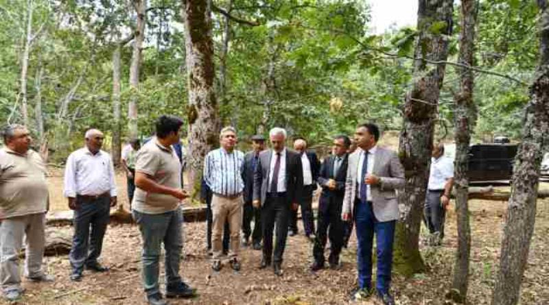 eğirdir,egirdir haber,akın gazetesi