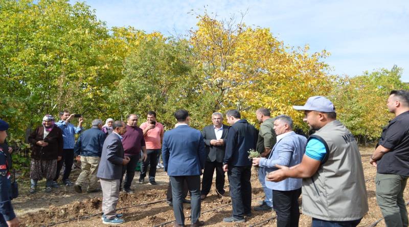 eğirdir,egirdir haber,akın gazetesi