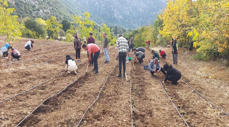 eğirdir,egirdir haber,akın gazetesi