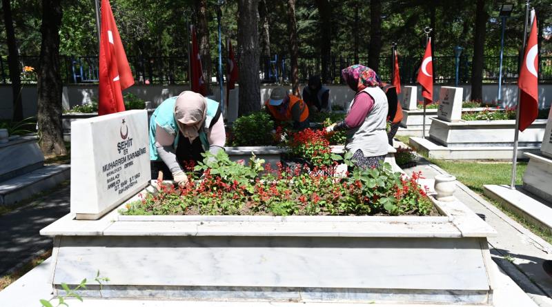 eğirdir,egirdir haber,akın gazetesi