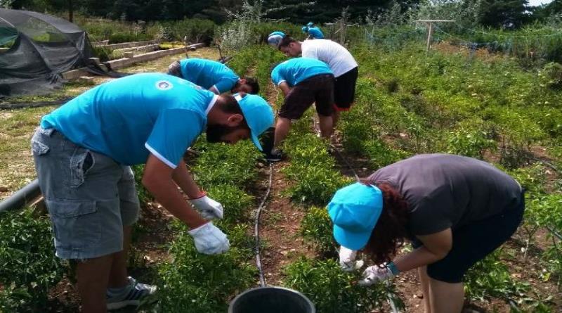 eğirdir,egirdir haber,akın gazetesi