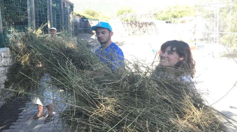 eğirdir,egirdir haber,akın gazetesi