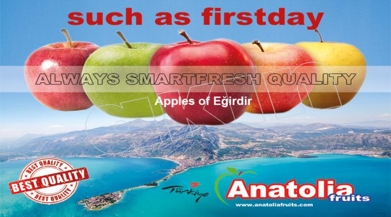 eğirdir,egirdir haber,akın gazetesi