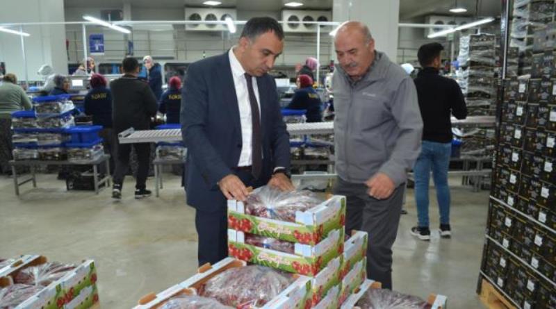 eğirdir,egirdir haber,akın gazetesi