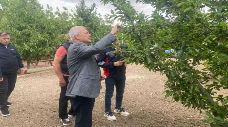 eğirdir,egirdir haber,akın gazetesi