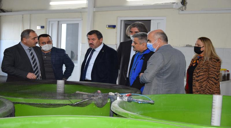eğirdir,egirdir haber,akın gazetesi