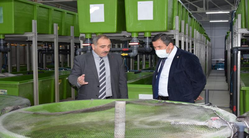 eğirdir,egirdir haber,akın gazetesi