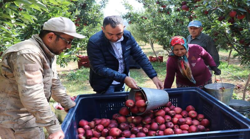 eğirdir,egirdir haber,akın gazetesi