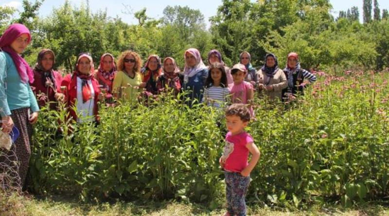 eğirdir,egirdir haber,akın gazetesi