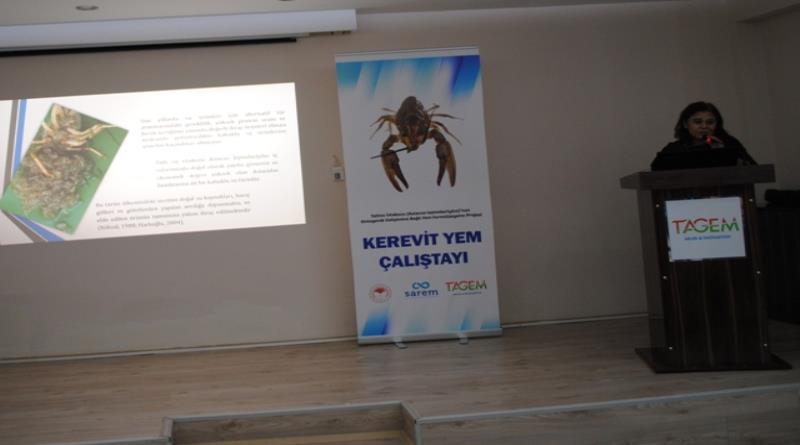 eğirdir,egirdir haber,akın gazetesi