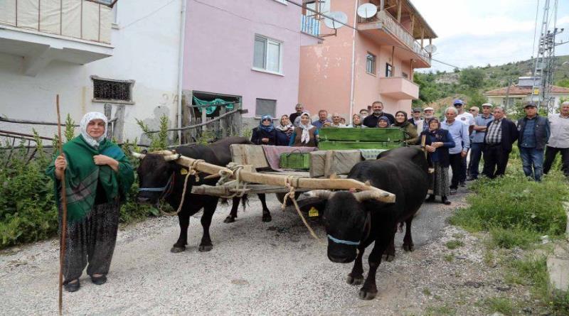 eğirdir,egirdir haber,akın gazetesi