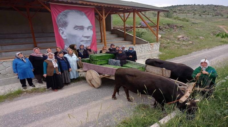 eğirdir,egirdir haber,akın gazetesi