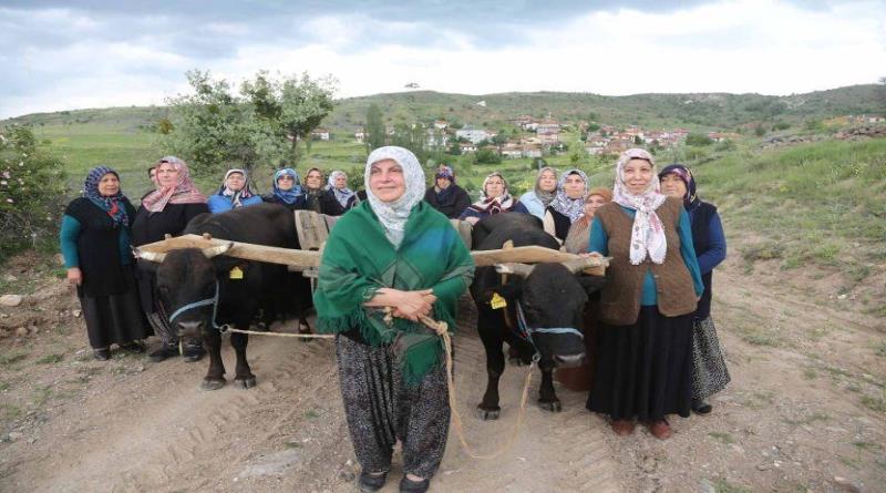 eğirdir,egirdir haber,akın gazetesi