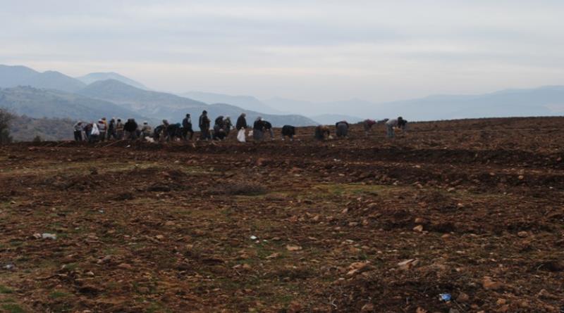eğirdir,egirdir haber,akın gazetesi