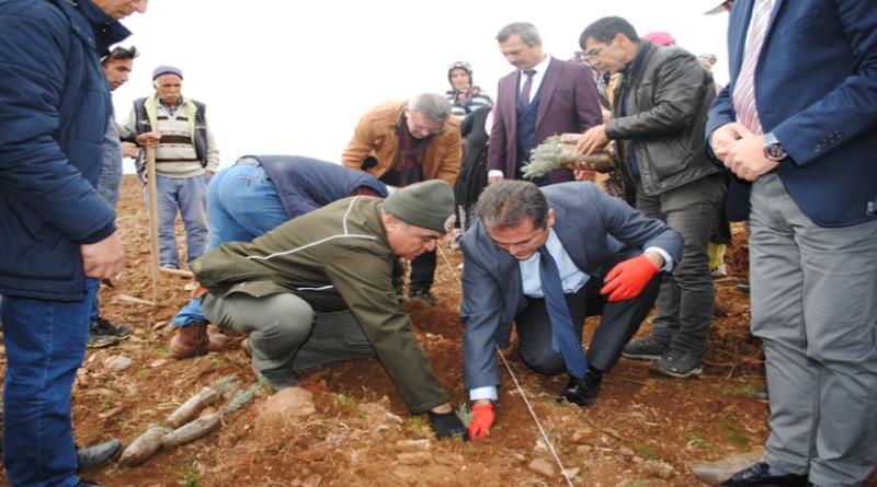 eğirdir,egirdir haber,akın gazetesi