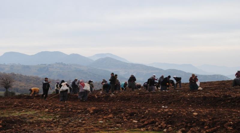 eğirdir,egirdir haber,akın gazetesi