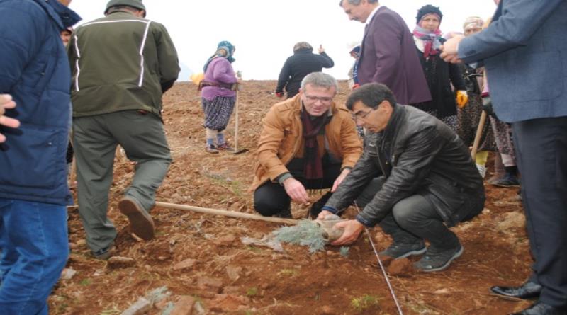 eğirdir,egirdir haber,akın gazetesi