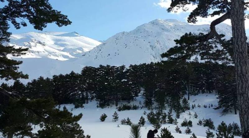 eğirdir,egirdir haber,akın gazetesi