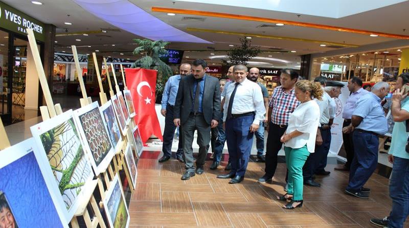 eğirdir,egirdir haber,akın gazetesi