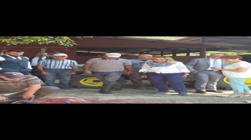 eğirdir,egirdir haber,akın gazetesi