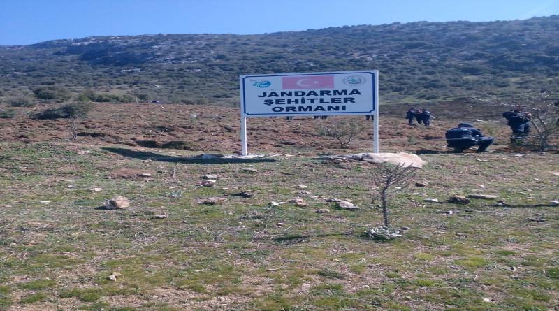 eğirdir,egirdir haber,akın gazetesi
