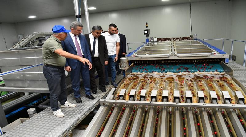 eğirdir,egirdir haber,akın gazetesi