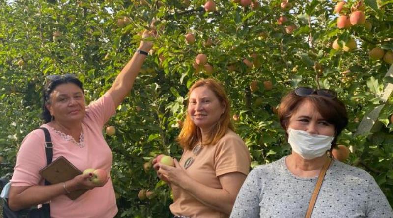 eğirdir,egirdir haber,akın gazetesi