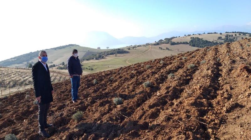 eğirdir,egirdir haber,akın gazetesi