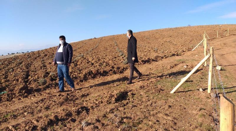 eğirdir,egirdir haber,akın gazetesi