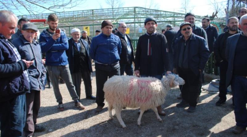 eğirdir,egirdir haber,akın gazetesi