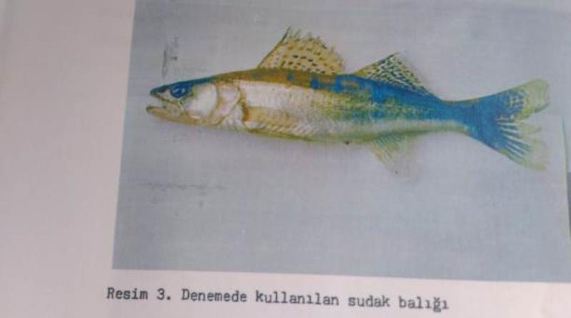 eğirdir,egirdir haber,akın gazetesi