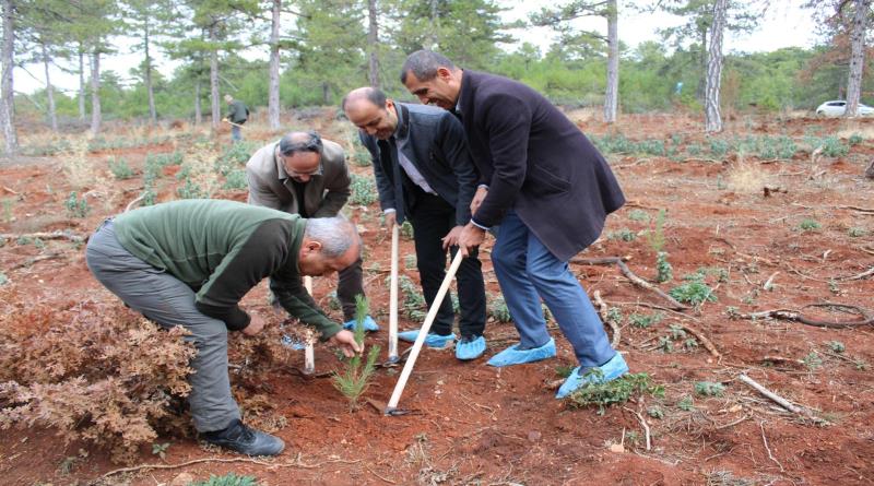 eğirdir,egirdir haber,akın gazetesi