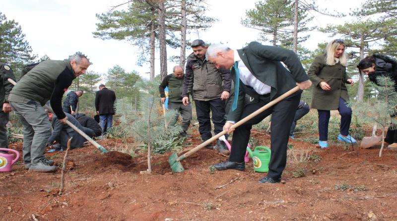 eğirdir,egirdir haber,akın gazetesi