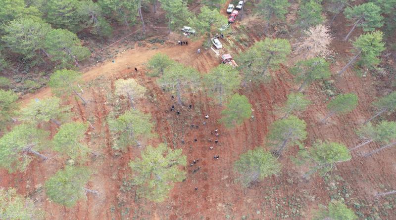 eğirdir,egirdir haber,akın gazetesi
