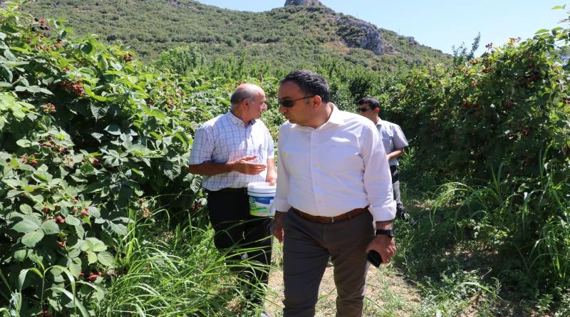 eğirdir,egirdir haber,akın gazetesi