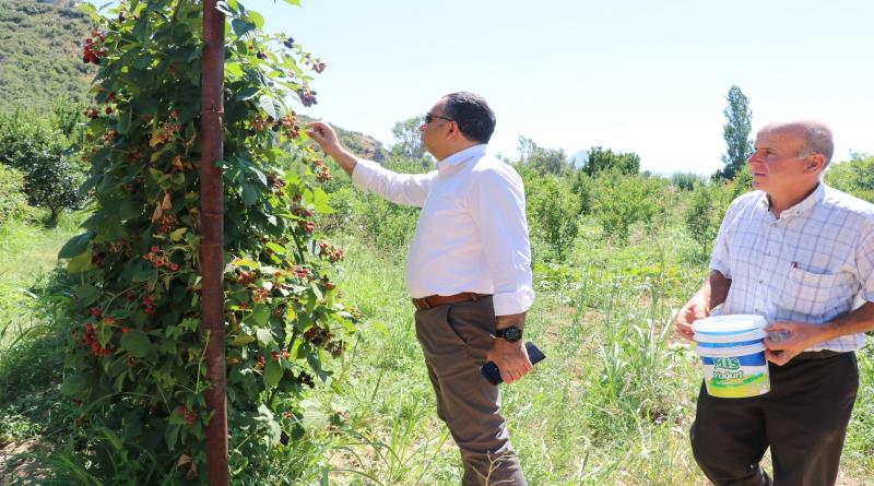 eğirdir,egirdir haber,akın gazetesi
