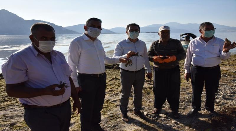 eğirdir,egirdir haber,akın gazetesi