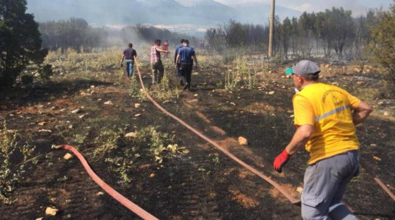 eğirdir,egirdir haber,akın gazetesi