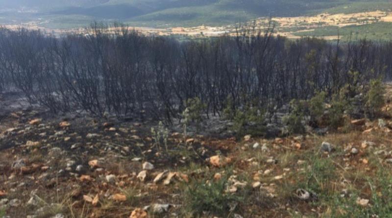 eğirdir,egirdir haber,akın gazetesi
