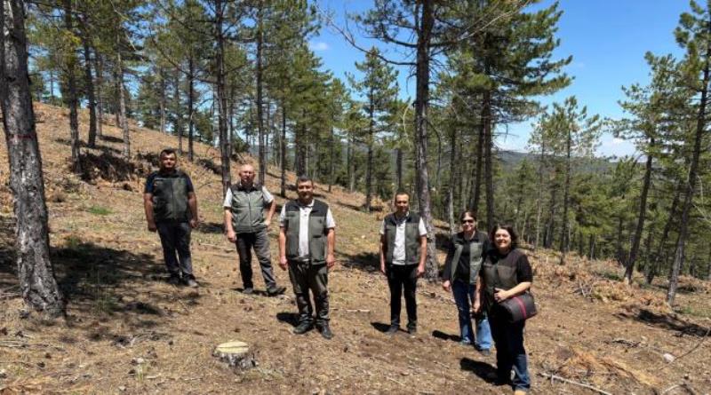 eğirdir,egirdir haber,akın gazetesi