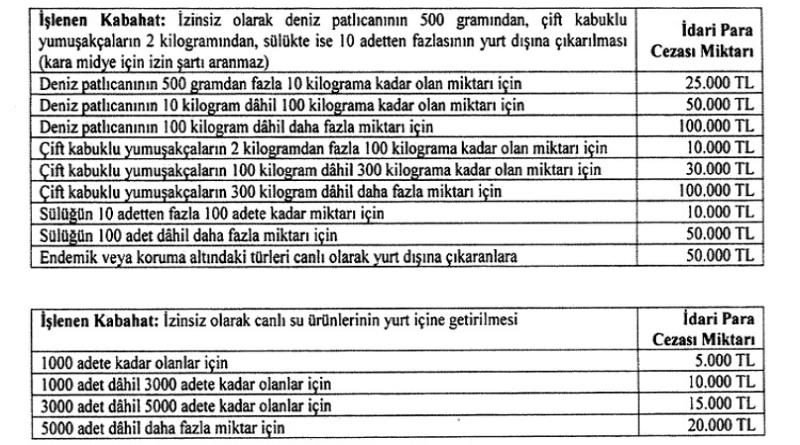 eğirdir,egirdir haber,akın gazetesi