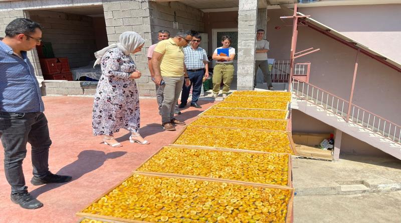 eğirdir,egirdir haber,akın gazetesi