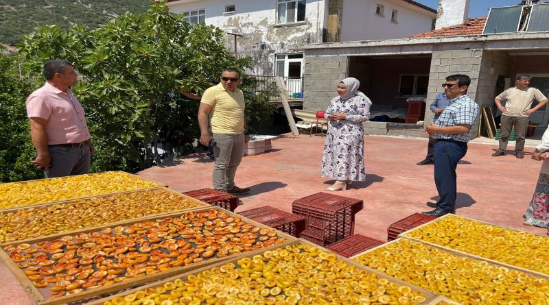 eğirdir,egirdir haber,akın gazetesi
