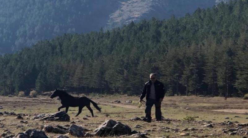 eğirdir,egirdir haber,akın gazetesi