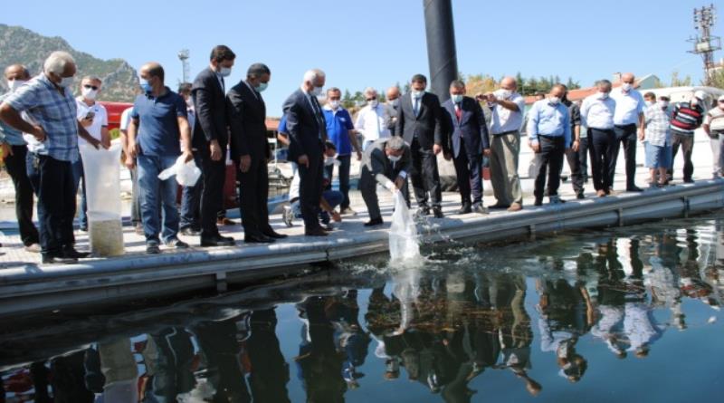 eğirdir,egirdir haber,akın gazetesi