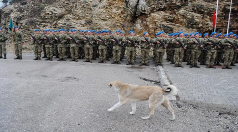 eğirdir,egirdir haber,akın gazetesi