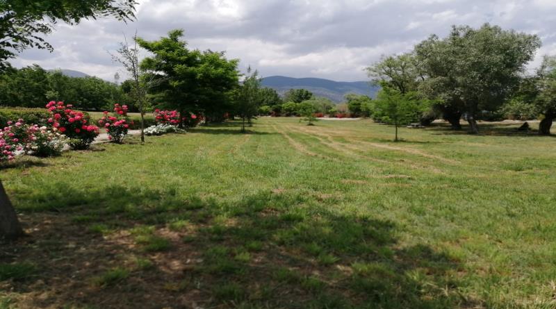 eğirdir,egirdir haber,akın gazetesi