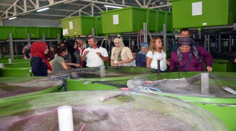 eğirdir,egirdir haber,akın gazetesi