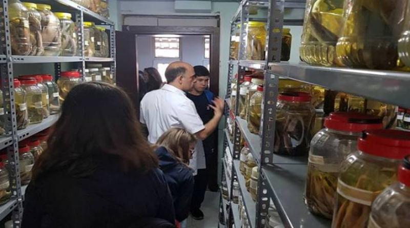 eğirdir,egirdir haber,akın gazetesi